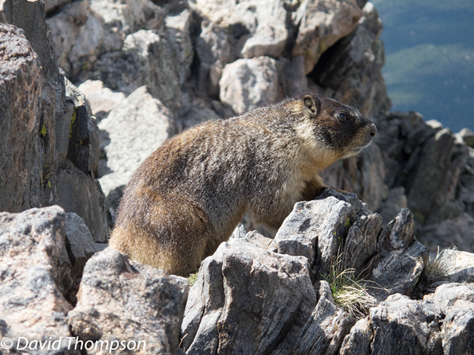 %_tempFileName2013-06-07_Twin_Sisters-13%