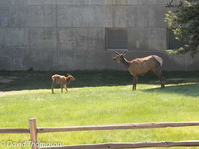 %_tempFileName2013-06-08_Estes_Park-4%