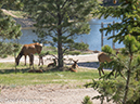 %_tempFileName2013-06-08_Estes_Park-2%