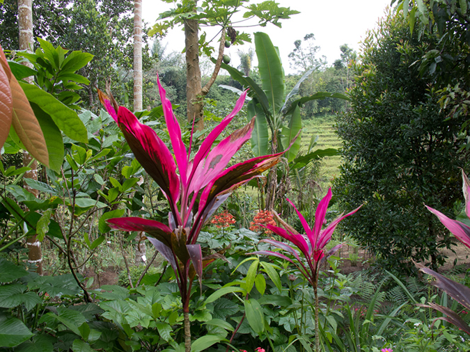 %_tempFileName20120628-IMG_1906%