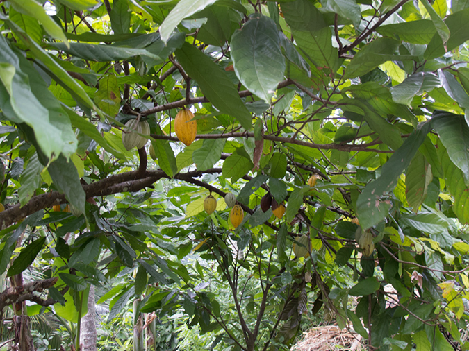 %_tempFileName20120628-IMG_1917%