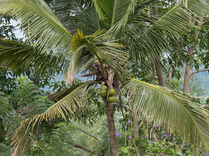 %_tempFileName20120628-IMG_1920%