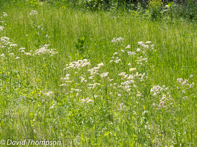 %_tempFileName2013-05-15_GAP_McKeesport_to_Ohiopyle-29%