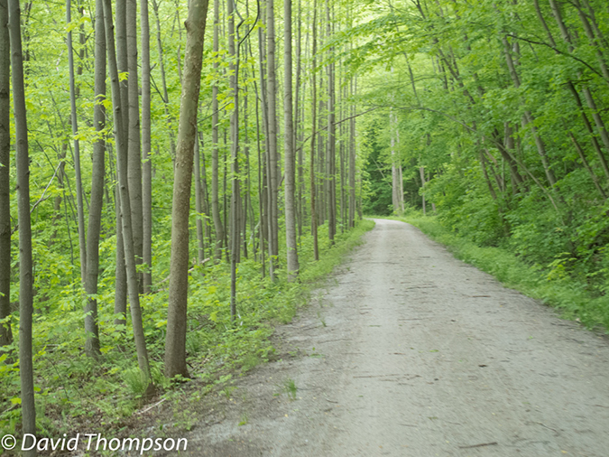 %_tempFileName2013-05-15_GAP_McKeesport_to_Ohiopyle-61%