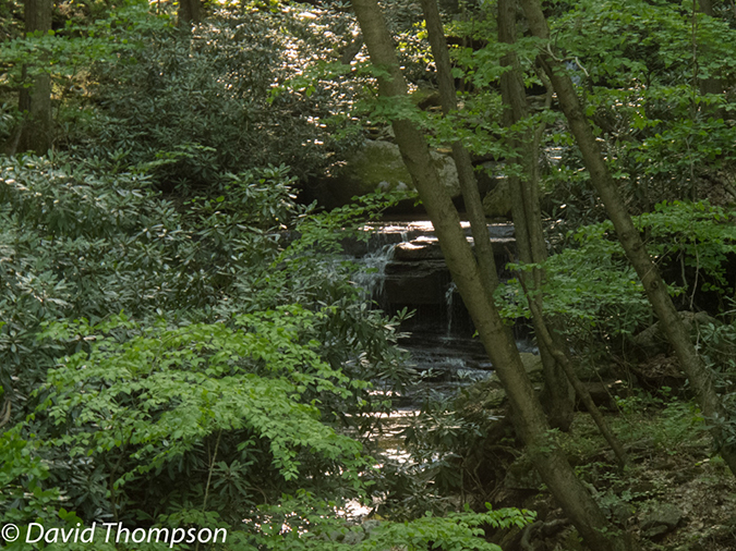 %_tempFileName2013-05-15_GAP_McKeesport_to_Ohiopyle-62%