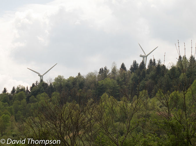 %_tempFileName2013-05-16_GAP_Ohiopyle_to_Cumberland-36%