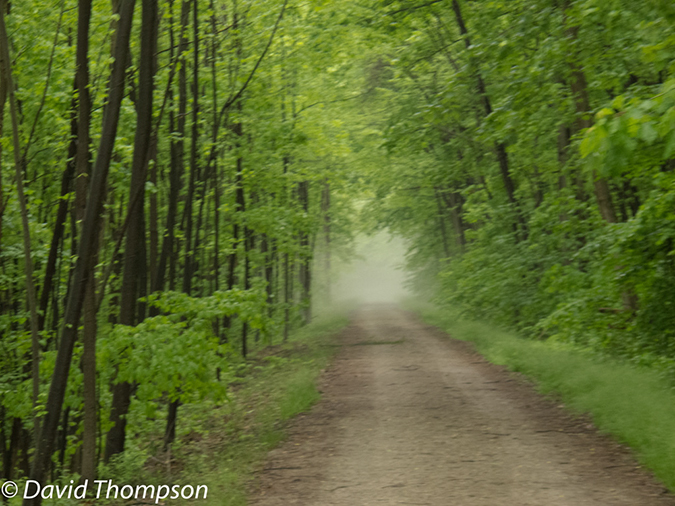 %_tempFileName2013-05-16_GAP_Ohiopyle_to_Cumberland-5%