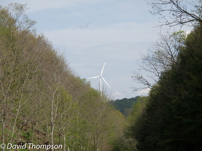 %_tempFileName2013-05-16_GAP_Ohiopyle_to_Cumberland-61%
