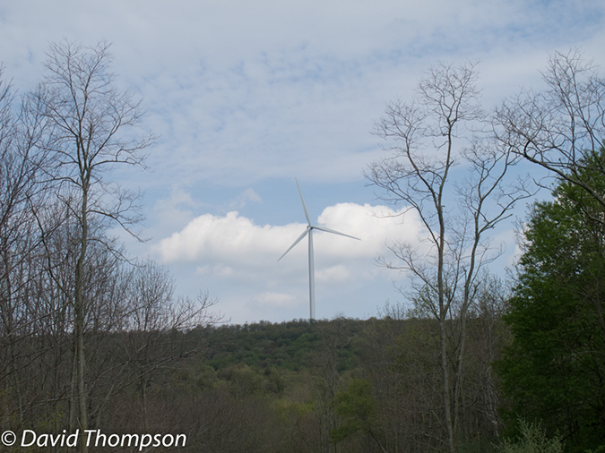 %_tempFileName2013-05-16_GAP_Ohiopyle_to_Cumberland-67%