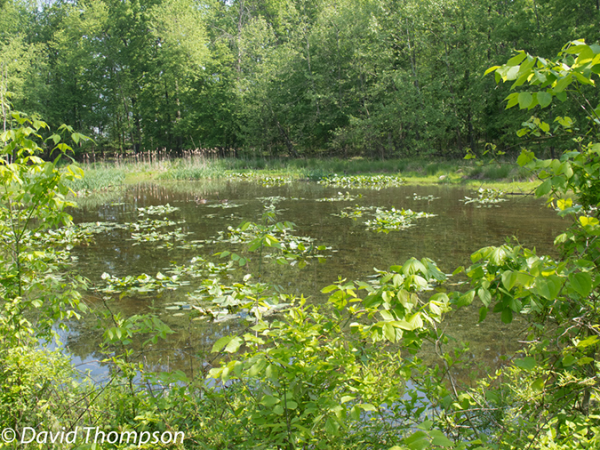 %_tempFileName2013-05-17_CO_Towpath_Cumberland_to_Hancock-20%