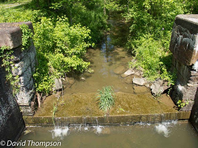 %_tempFileName2013-05-17_CO_Towpath_Cumberland_to_Hancock-37%