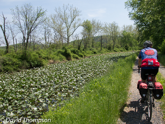 %_tempFileName2013-05-17_CO_Towpath_Cumberland_to_Hancock-38%