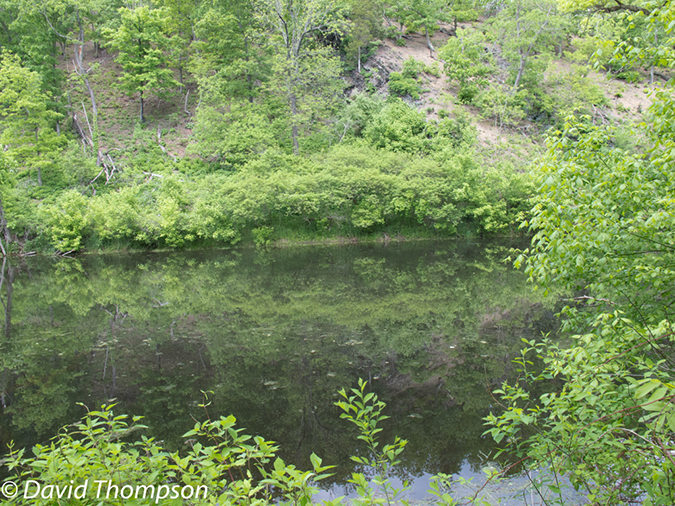 %_tempFileName2013-05-17_CO_Towpath_Cumberland_to_Hancock-61%