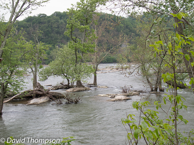 %_tempFileName2013-05-18_CO_Towpath_Hancock_to_Harpers_Ferry-30%