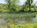 %_tempFileName2013-05-17_CO_Towpath_Cumberland_to_Hancock-31%