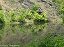 %_tempFileName2013-05-17_CO_Towpath_Cumberland_to_Hancock-64%