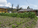 %_tempFileName2013-11-07_01_Otavalo%20Marketplace_Tour-9%