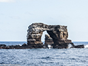%_tempFileName2013-11-12_02_Darwin_Island-8%