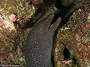 %_tempFileName2013-11-12_03_Darwin_Island_Darwin_Arch-19%