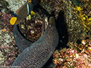 %_tempFileName2013-11-13_01_Wolf_Island_Shark_Bay-6%