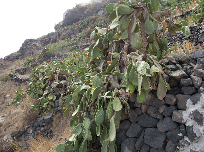 %_tempFileName2013-10-12_4_Santorini_Thirasia_Island-1%