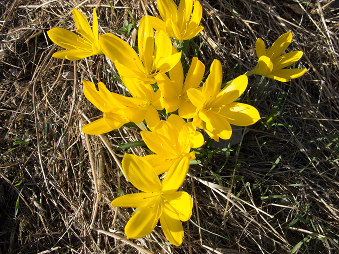 %_tempFileName2013-10-15_3_Ancient_Delphi-16%