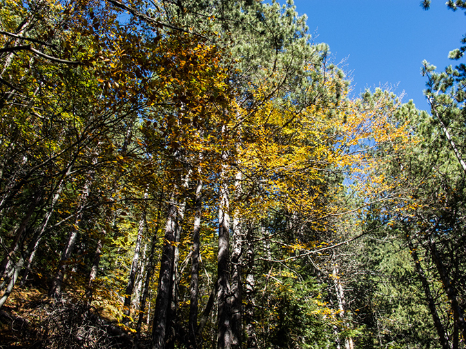 %_tempFileName2013-10-19_01_Greece_Litochoro_Mt_Olympus-16%