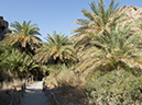 %_tempFileName2013-10-10_4_Crete_Moni_Preveli_and_Preveli_Beach-10%