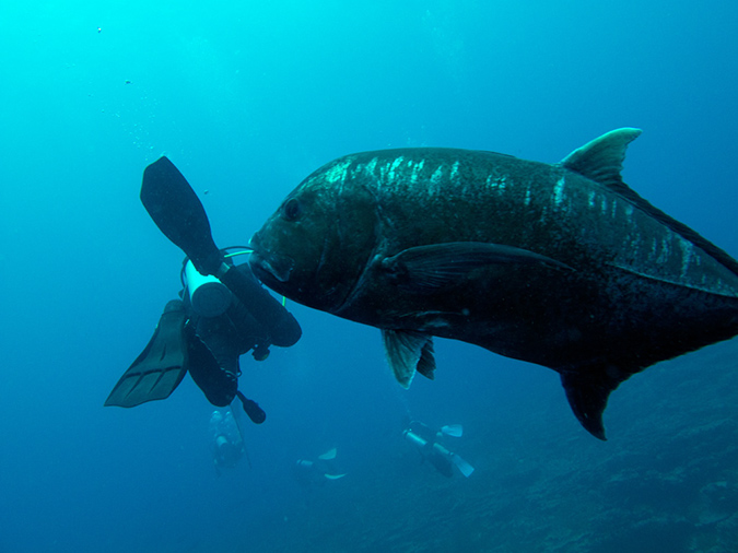 2011-10-07 - Gab Gab 2 (1)