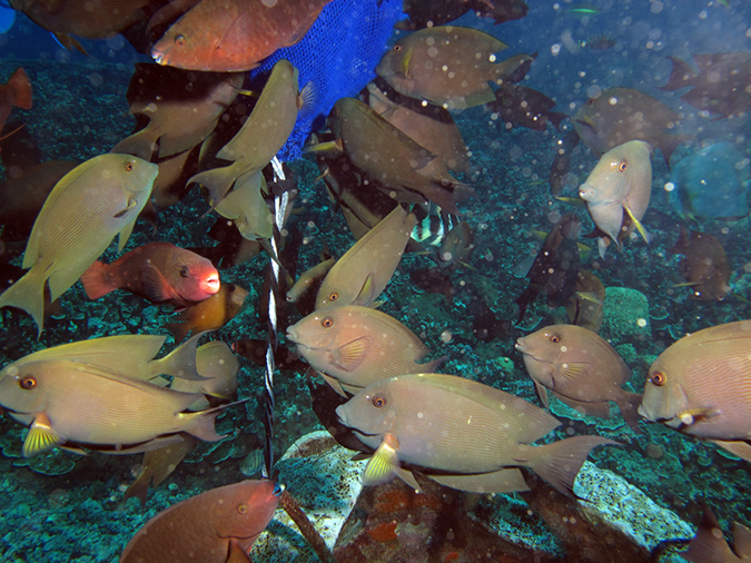 2011-10-07 - Gab Gab 2 (5)