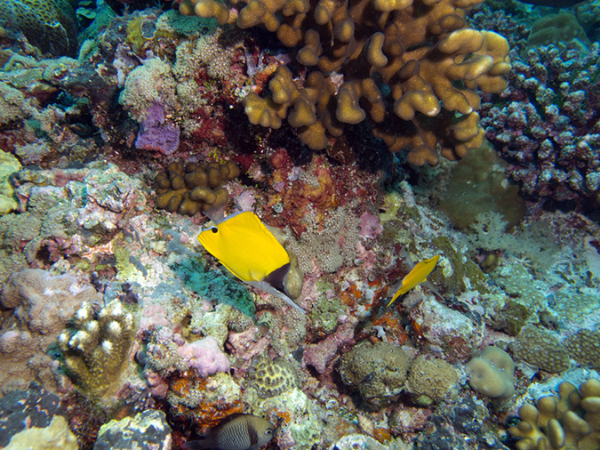 2011-10-14 - Siaes Corner (7)