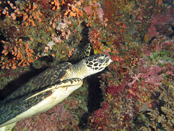 2011-10-14 - Siaes Tunnel (26)