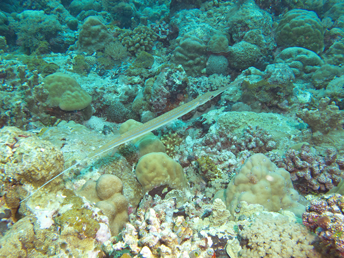 2011-10-14 - Siaes Corner (5)