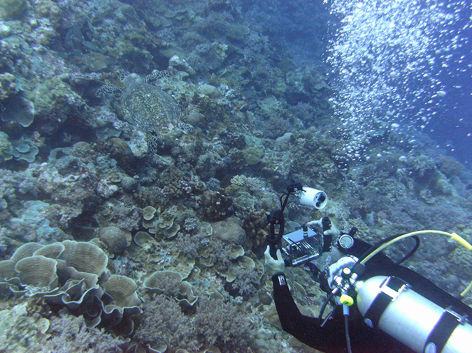 2011-10-12 - Turtle Cove (14)