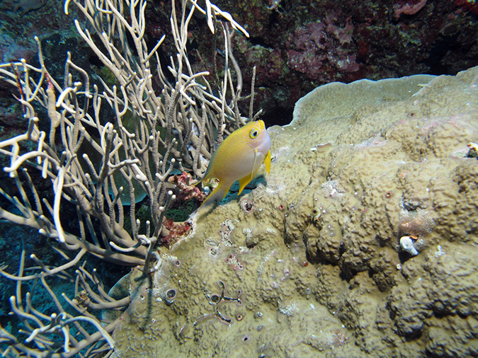 2011-10-14 - Siaes Tunnel (10)
