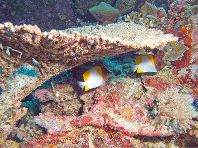 2011-10-14 - Siaes Tunnel (11)