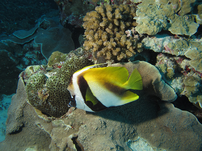 2011-10-17 - German Corner (10)