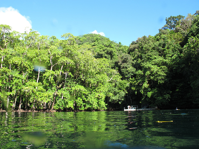 2011-10-15 - Jellyfish Lake (3)