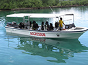 2011-10-13 - Peleliu (25)