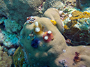 2011-10-14 - Siaes Corner (19)