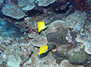 2011-10-12 - Turtle Cove (15)