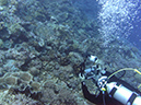 2011-10-12 - Turtle Cove (14)
