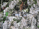 2011-10-15 - Rock Islands (8)