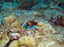 2011-10-14 - Siaes Corner (12)