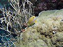 2011-10-14 - Siaes Tunnel (10)
