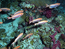 2011-10-14 - Ulong Channel (7)
