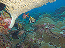 2011-10-14 - Siaes Corner (18)