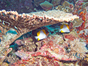2011-10-14 - Siaes Tunnel (11)
