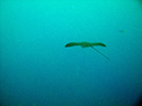 2011-10-14 - Siaes Corner (16)