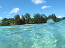 2011-10-17 - Carp Island snorkel (2)